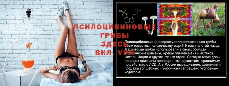 Галлюциногенные грибы Psilocybine cubensis  маркетплейс состав  Бугульма 